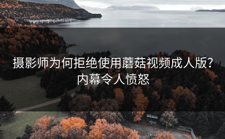 摄影师为何拒绝使用蘑菇视频成人版？内幕令人愤怒