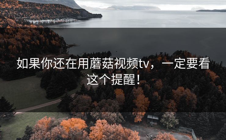 如果你还在用蘑菇视频tv，一定要看这个提醒！