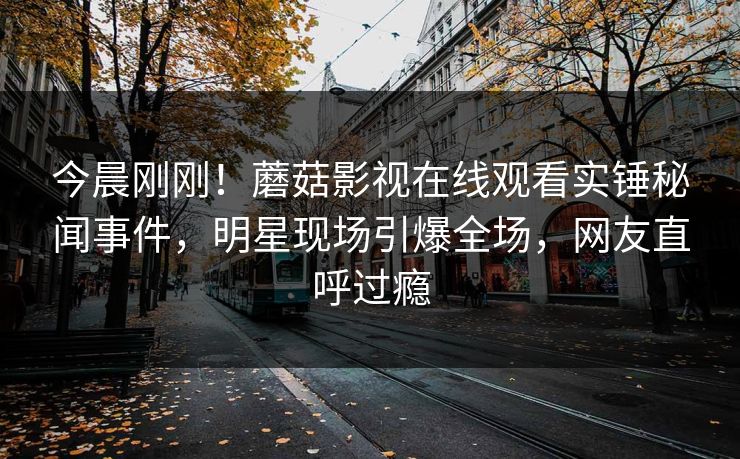 今晨刚刚！蘑菇影视在线观看实锤秘闻事件，明星现场引爆全场，网友直呼过瘾