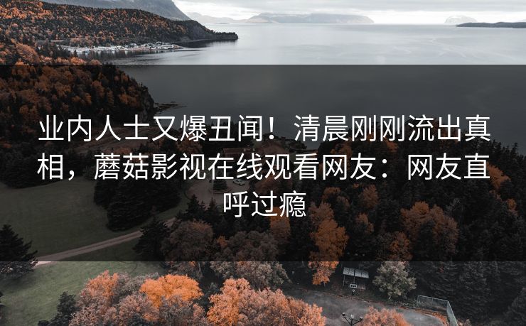 业内人士又爆丑闻！清晨刚刚流出真相，蘑菇影视在线观看网友：网友直呼过瘾