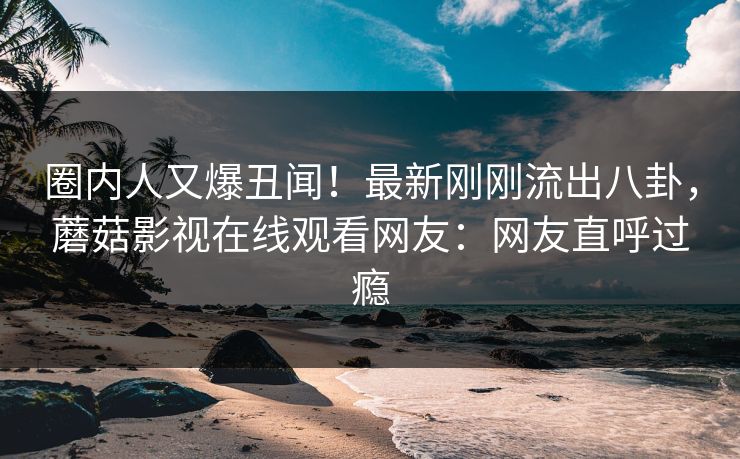 圈内人又爆丑闻！最新刚刚流出八卦，蘑菇影视在线观看网友：网友直呼过瘾