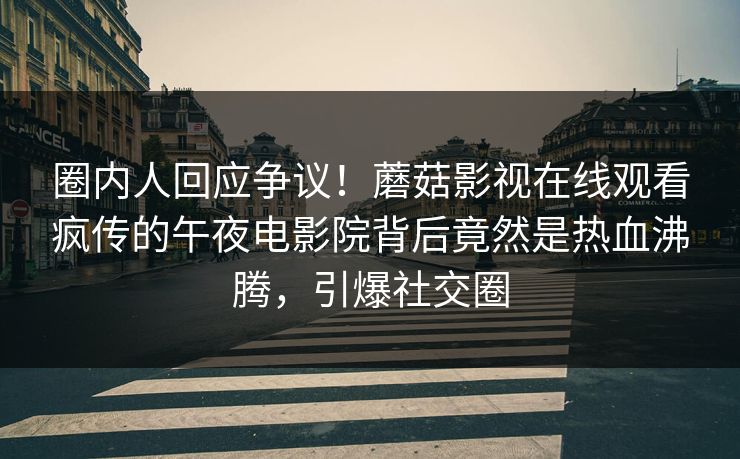 圈内人回应争议！蘑菇影视在线观看疯传的午夜电影院背后竟然是热血沸腾，引爆社交圈