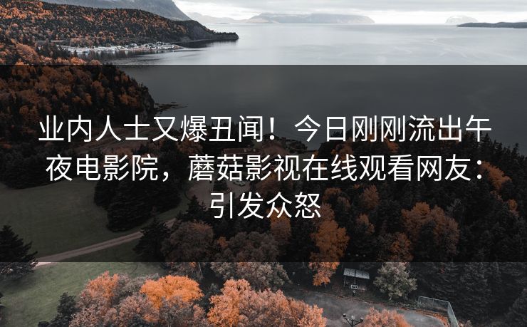 业内人士又爆丑闻！今日刚刚流出午夜电影院，蘑菇影视在线观看网友：引发众怒